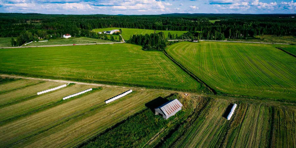 Estudios de suelos agrícolas en el Baix Llobregat