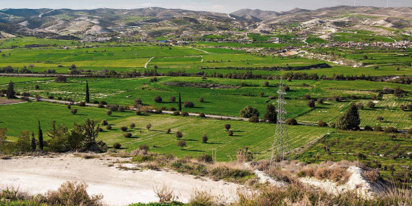 Estudios de suelos para agricultura en el Baix Llobregat